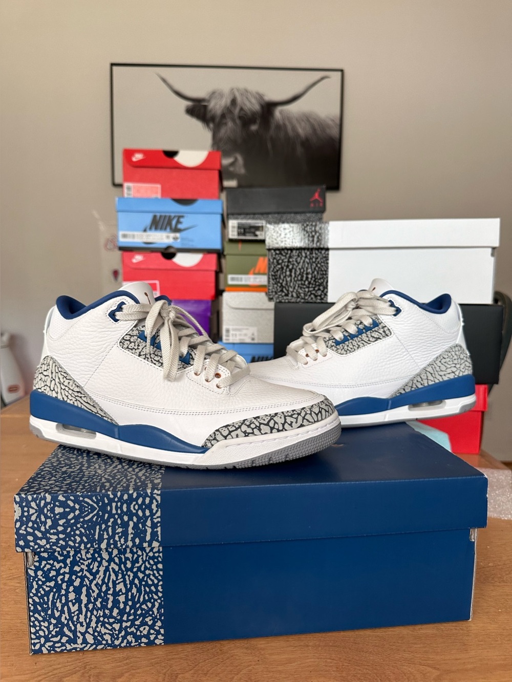 Air Jordan 3 Retro- Wizards (Size 11M) (VNDS)